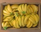Через Витебскую область хотели ввести 20 тонн бананов без сертификатов 