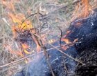 В Витебске в сухой траве сгорел мужчина